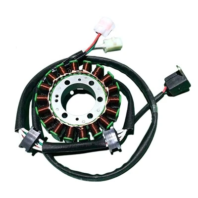 18 Pol Triphase 2V49 DC Magneto Stator